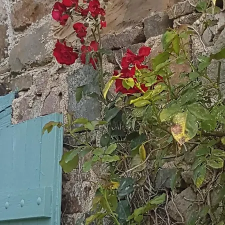 La Biaiserie Bed and Breakfast Angoville-sur-Ay