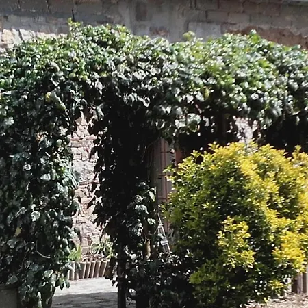 La Biaiserie Bed and Breakfast Angoville-sur-Ay
