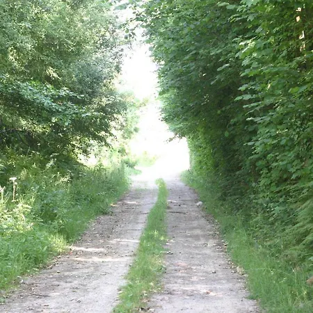 La Biaiserie Angoville-sur-Ay
